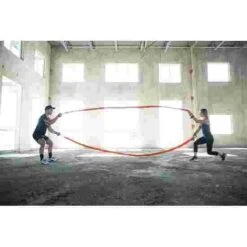 Stroops "Son Of The Beast" -The Fitness Equipment Store 109 4002 3