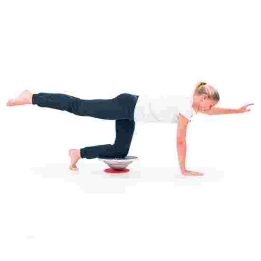 Sport-Thieme "Classic" Sports Disc - Image 2