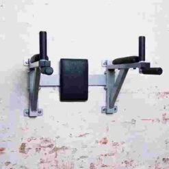 Sport-Thieme Wall-Mounted Dip Station
