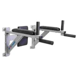 Sport-Thieme Wall-Mounted Dip Station -The Fitness Equipment Store 133 5200