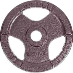Sport-Thieme Competition Cast Iron Weight Disc 15 Sport-Thieme Competition Cast Iron Weight Disc -The Fitness Equipment Store 146 2308