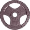 Sport-Thieme Competition Cast Iron Weight Disc