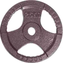Sport-Thieme Competition Cast Iron Weight Disc 14 Sport-Thieme Competition Cast Iron Weight Disc -The Fitness Equipment Store 146 2366