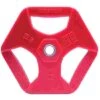 Hot Iron , 10 kg -The Fitness Equipment Store 146 5482