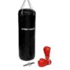 Sport-Thieme "Pro" Boxing Set -The Fitness Equipment Store 150 1966