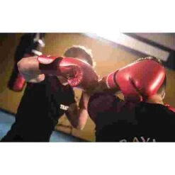 Sport-Thieme "Workout" Boxing Gloves