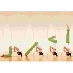 Feetup "Classic" Trainer 24 Feetup "Classic" Trainer -The Fitness Equipment Store 259 6802 2