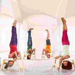 Feetup "Classic" Trainer 25 Feetup "Classic" Trainer -The Fitness Equipment Store 259 6802 3