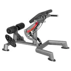 Sport-Thieme "OV" Back Extension Bench -The Fitness Equipment Store 307 8903
