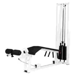 Sport-Thieme "SQ" Leg Curl Machine