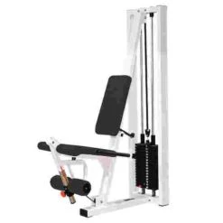 Sport-Thieme "SQ" Leg Extension Machine